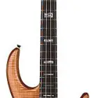 Carvin Icon IC4 Active Bass