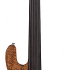 AC50 Acoustic/Electric 5-String Bass