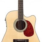 Cobalt C850T Rosewood Dreadnought Acoustic/Electric