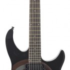 Peavey Predator