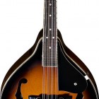 FM-101 Mandolin