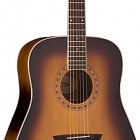 Washburn WD7S