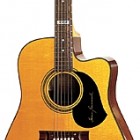 Maton Guitars TE Series