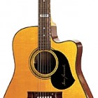 TE Series