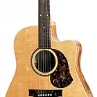 Maton Guitars Stage EST60C