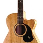 Maton Guitars EBG808CLG