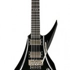 DBZ Guitars Bird Of Prey 2