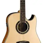 DBZ Guitars Verona DCM
