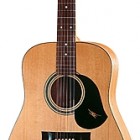 Maton Guitars CW80 12 String