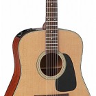 Takamine P1D