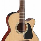 Takamine P1NC