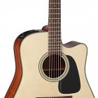 Takamine P2DC