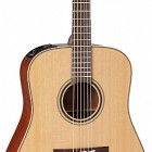 Takamine P3D