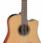 Takamine P3DC-12