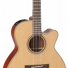 Takamine P3NC