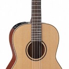 Takamine P3NY