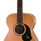 Maton Guitars BG808L