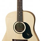 Maton Guitars 225