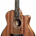 Taylor PS16ce-FLTD