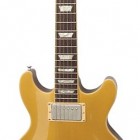 Les Paul Double Cutaway