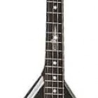 Schecter Sean Yseult Casket Bass Left Handed