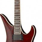 Schecter Hellraiser Special Avenger