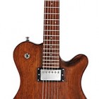 Framus Panthera