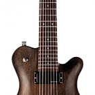 Framus Panthera 7