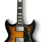 Reverend Manta Ray HB-FM