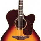 Takamine Toby Keith EF250TK