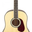 Orpheum Slope Shoulder 14-Fret Mahogany Dreadnought