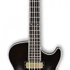 Ibanez AGB205