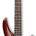 Ibanez SR305 (2013)