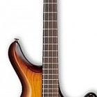 Brown Burst