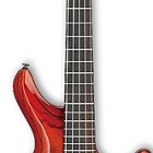 Ibanez G105 (2013)