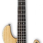 Ibanez ATK205