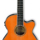 Ibanez AEG10NII