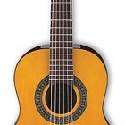 Ibanez GA1