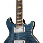 Les Paul Double Cutaway AA Top