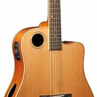 Boulder Creek Dreadnought ECDG-3N