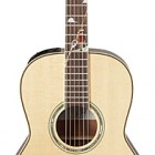 Takamine LTD2013 PEAK