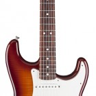 Standard Stratocaster HSS Plus Top