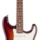 Fender Standard Stratocaster Plus Top