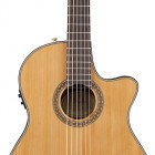 Fender CN-240SCE (2013)