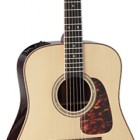 Takamine P7D