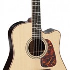 Takamine P7DC