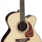 Takamine P7JC