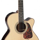 Takamine P7NC