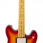 Aged Cherry Burst