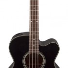 Takamine GB30CE